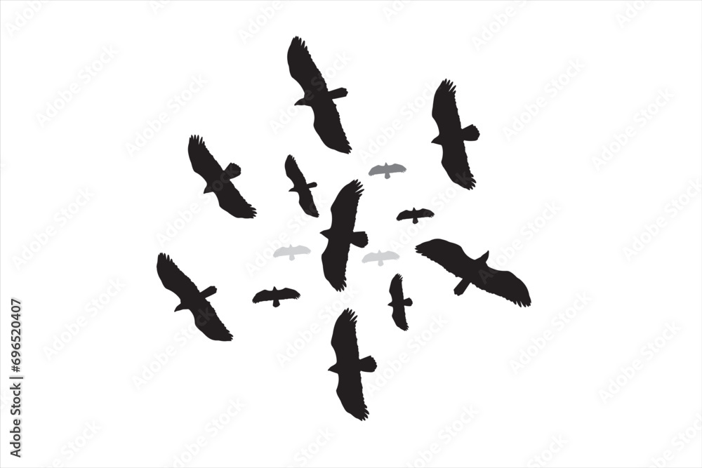Eagles soaring in the sky. Vector images. White background. Eagles soaring in the sky. Vector images. White background.