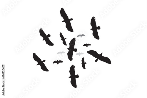 Eagles soaring in the sky. Vector images. White background. 