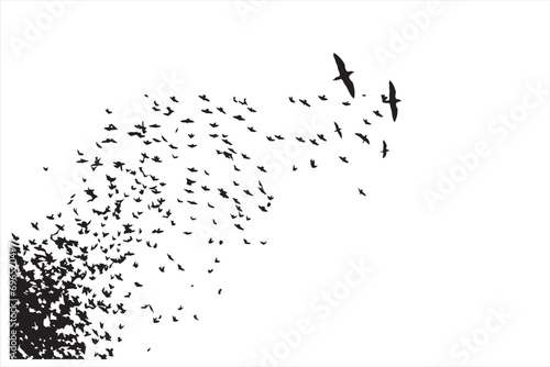 Birds heading in a certain direction. An abstract nature landscape. Vector images. White background. 