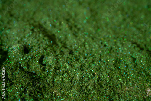 Moss Green Glitter Pigment