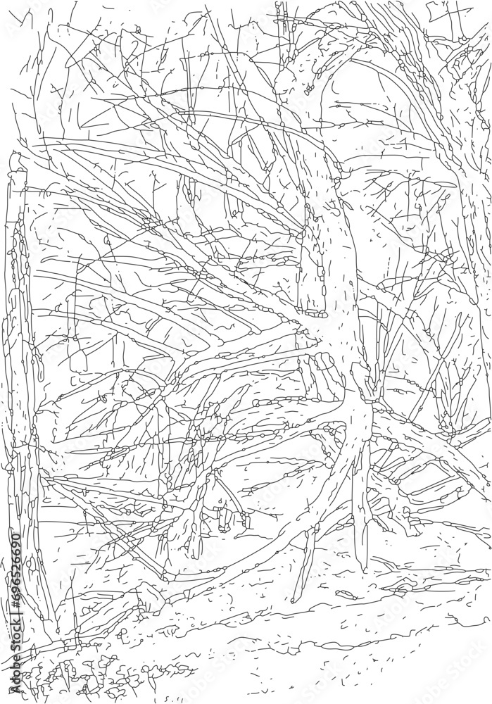 Drawing of broken trees in a ravine. Sketch with simple lines