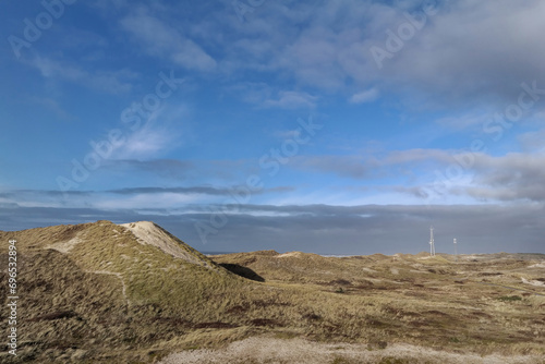 Krajobraz wydm nadmorskich w Holandii Północnej.