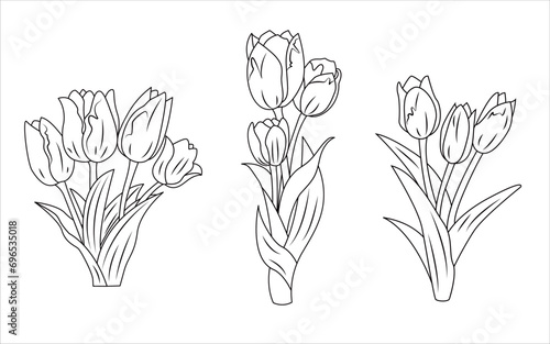 Set of tulip flowers line illustration vector graphic