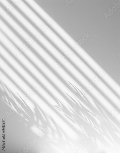 Plant shadow on a  white wall, transparent background, overlay, PNG