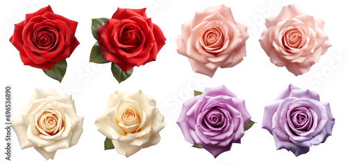 Collection set of red pink cream lavender violet stalk of rose roses flower floral top view on transparent background cutout, PNG file. Mockup template artwork graphic design photo