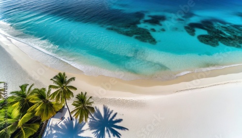 aerial beach landscape minimalist beach view from drone or airplane palm shadows in white sand near blue sea with beautiful ripples and waves perfect summer beach landscape banner exotic blue sea © Raegan