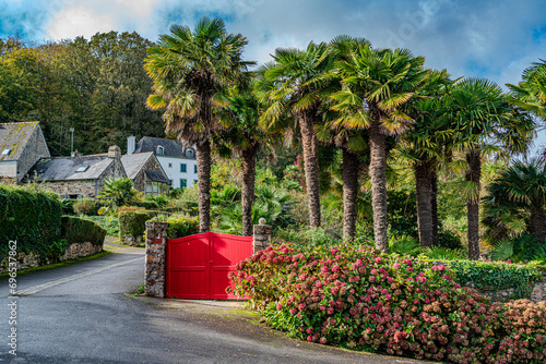 Palmengarten mit rotem Gartentor und verblühten Hortensienbüschen an der Gartenmauer; F, Bretagne, Finistère, Landevennec photo