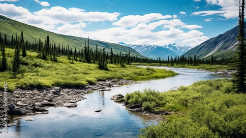 The alaskan tundra is home to a lake that is full of serenity.