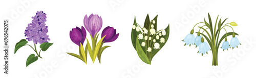 Wildflower and Botany Growing on Green Stem Vector Set © Happypictures