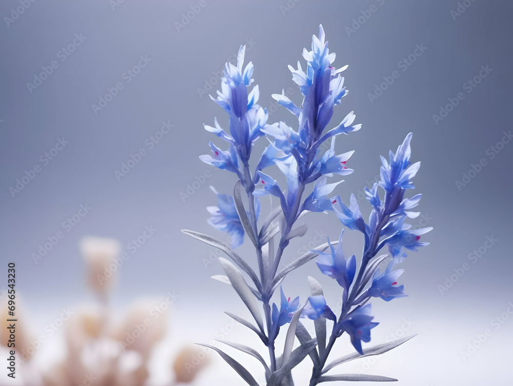 Blue fountain bush flower in studio background, single blue fountain bush flower, Beautiful flower, ai generated image Blue fountain bush flower in studio background, single blue fountain bush flower, Beautiful flower, ai generated image