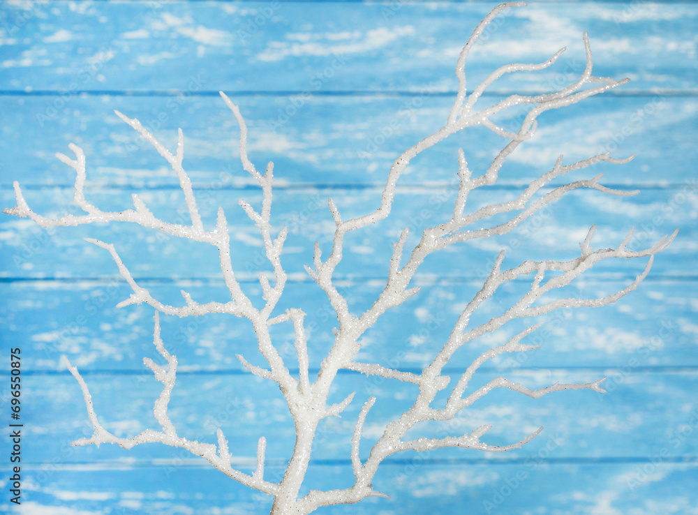 Festive white branches, decor, decorations, blue background