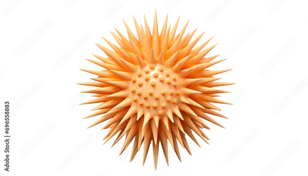 Fototapeta premium 3D Sea urchin PNG / Transparent