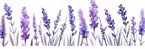 Blooming lavender bouquet isolated on white background, banner watercolor illustration