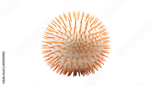 3D Sea urchin PNG / Transparent