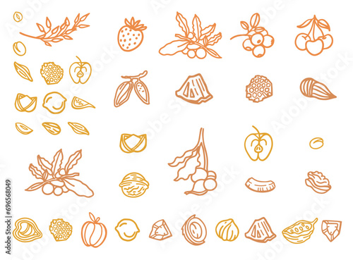 Granola hand drawn vector set. Crunches. Oats with fruits, berries, nuts, cocoa, tasty cereal ingredients.	