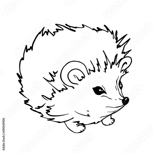 Line sketch, doodles of a hedgehog. Vector graphics.