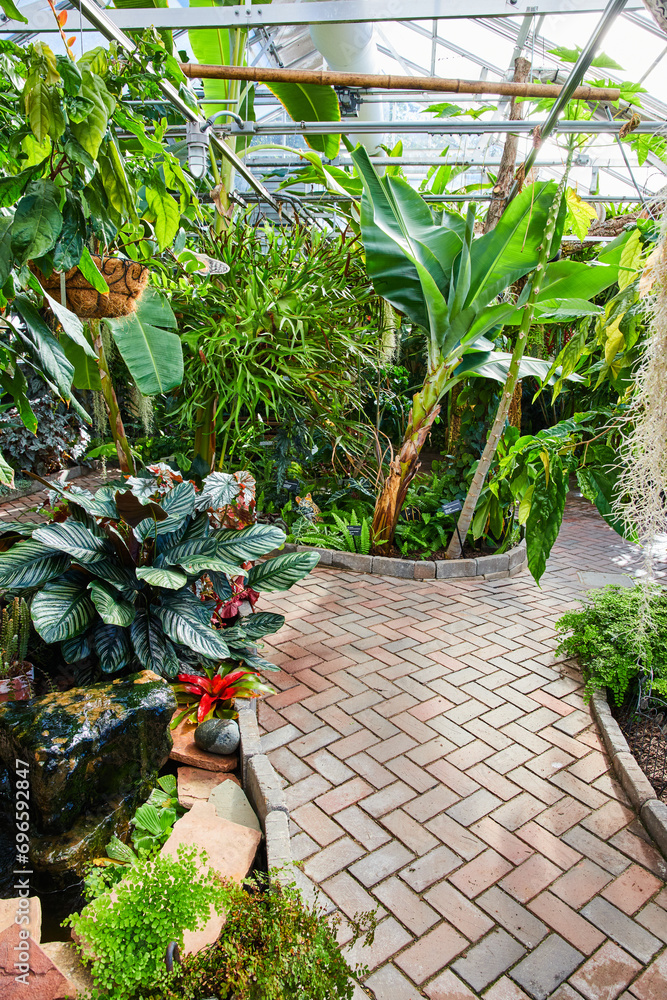Tropical Greenhouse Oasis with Brick Pathway and Lush Foliage Tropical Greenhouse Oasis with Brick Pathway and Lush Foliage