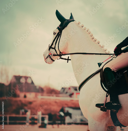 Portrait of a white horse with a braided mane and a rider in the saddle against the sky. Equestrian sports competitions and horse riding.