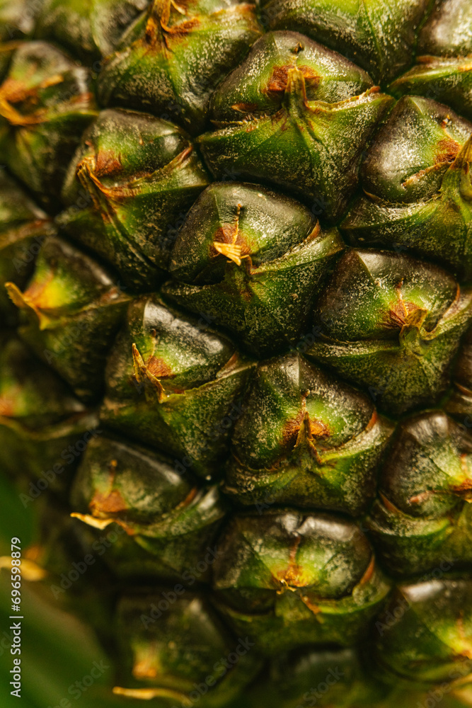 Closeup view of a pineapple