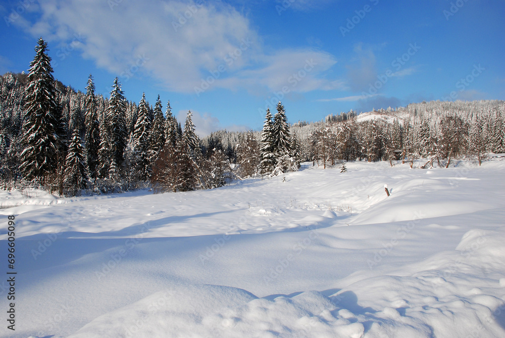 Winter landscape near Comandau village, Romania