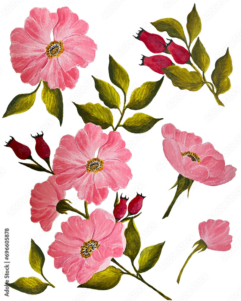 Set of big pink rose-hip flowers