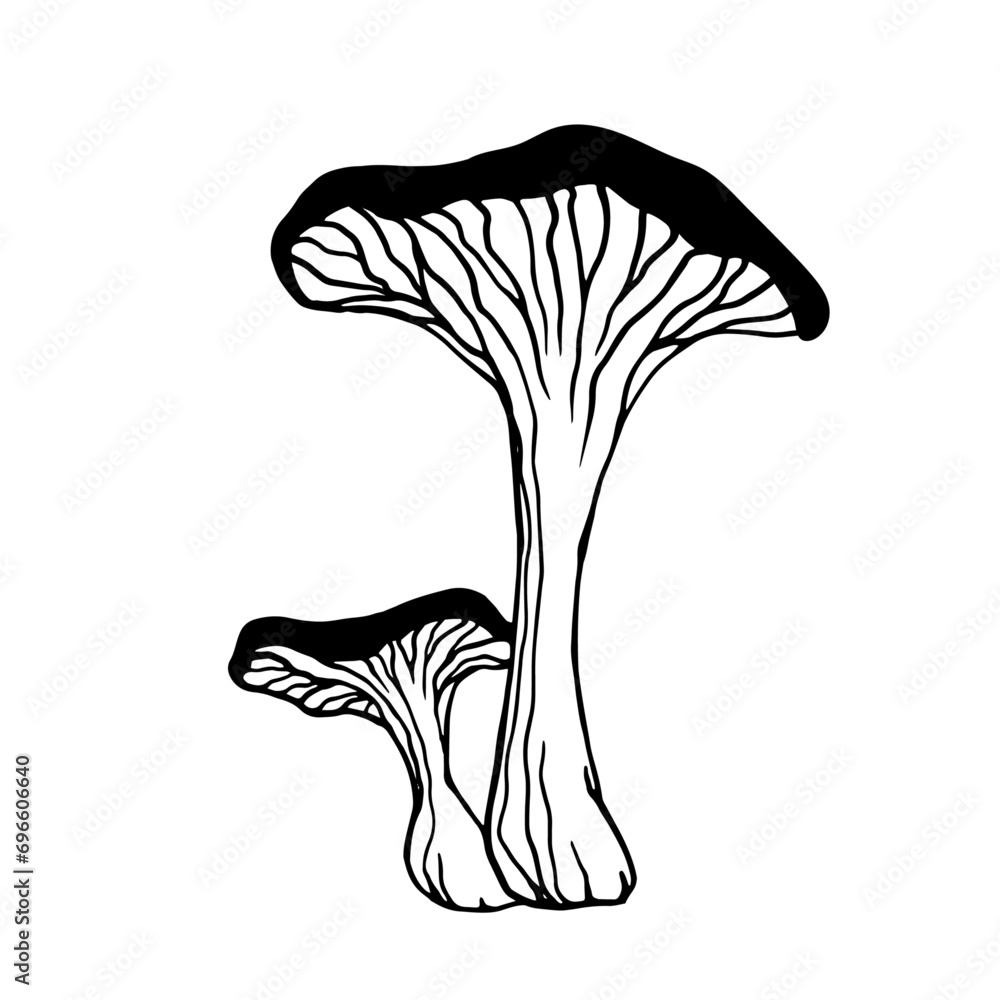 Sketch,doodle of forest mushroom toadstool.Vector graphics. Sketch,doodle of forest mushroom toadstool.Vector graphics.