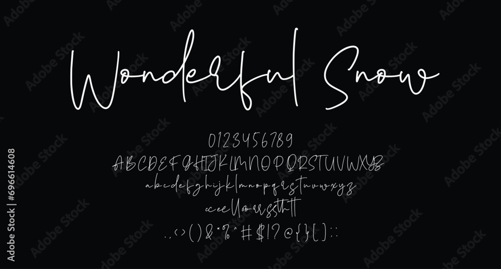 Wonderful Snow beauty script handwritten font Best Alphabet Alphabet Brush Script Logotype Font lettering handwritten