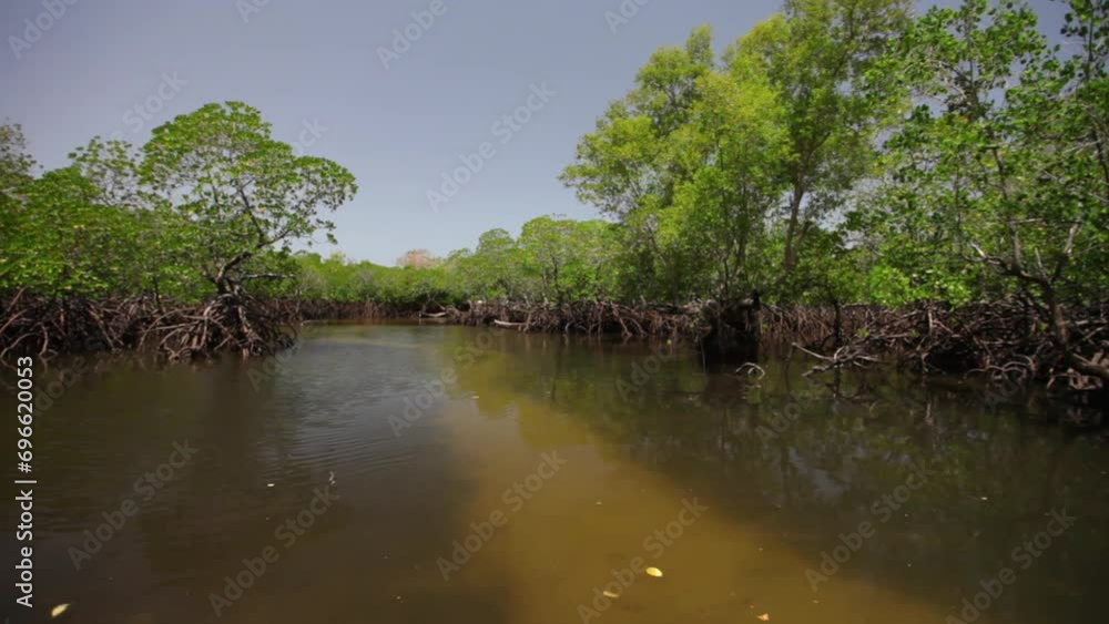 Shallow river in Kenya, Africa - Steady cam, wide shot Shallow river in Kenya, Africa - Steady cam, wide shot