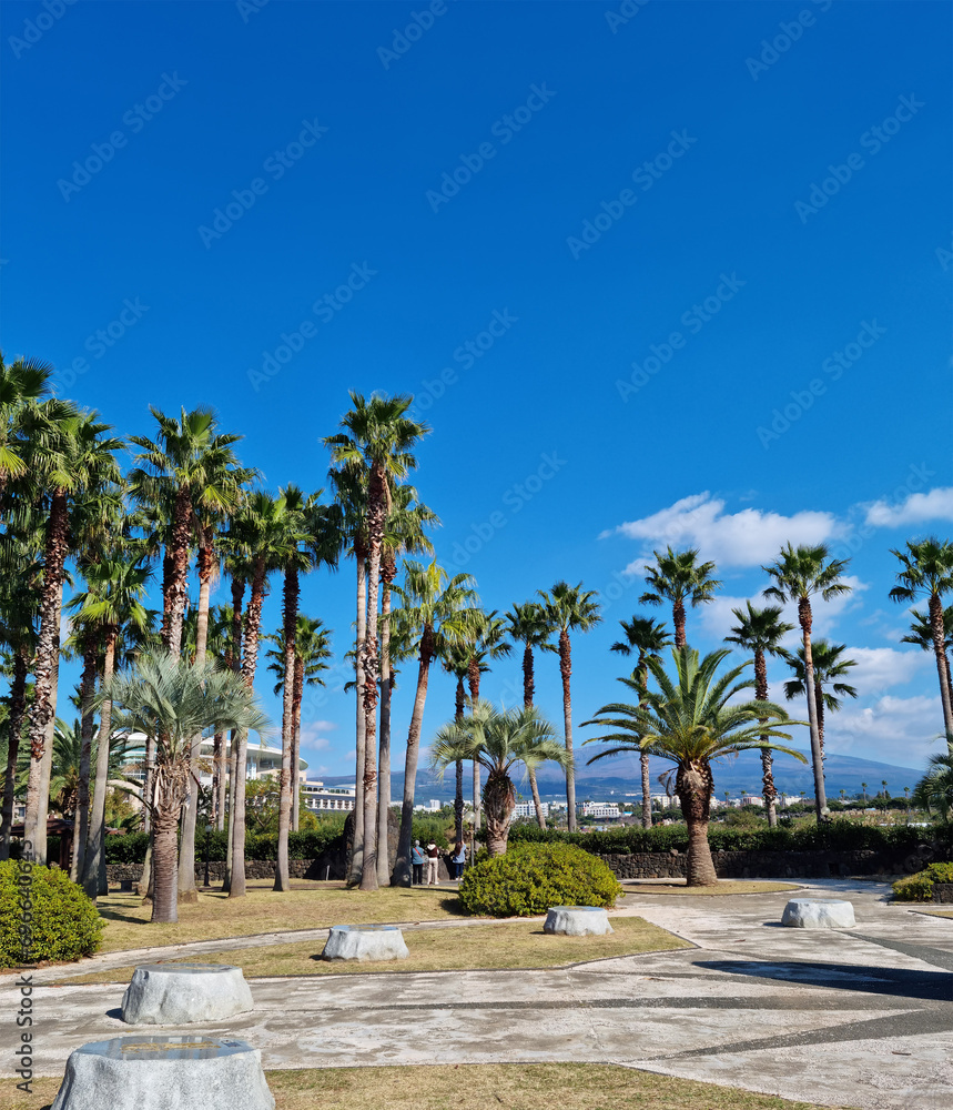 It is an outdoor park with palm trees.