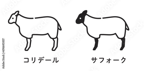 羊　羊肉　マトン