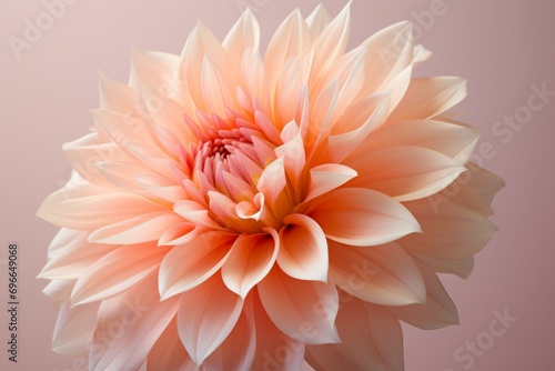 Flowers, peach fuzz trendy color concept. Background with selective focus and copy space