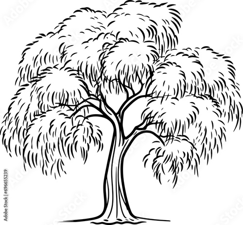 Willow tree sketch drawing