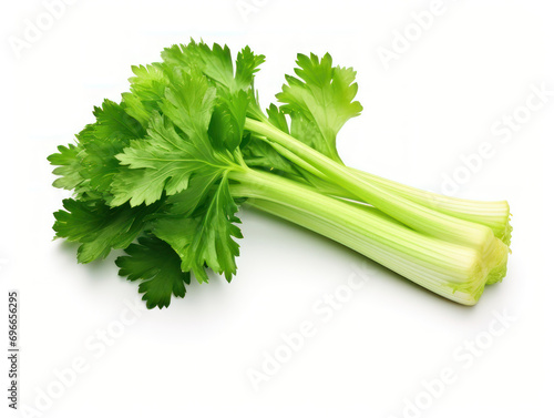 Fresh Celery Isolated on white background