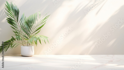 Minimalistic light background with blurred Monstera Deliciosa plant pot shadow on a light wall. Beautiful background for presentation with with marble floor