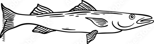 Fish Illustration Line Art Style | Black And White | Asset