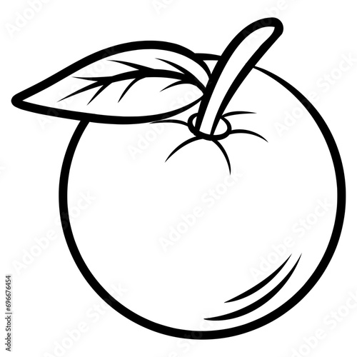 illustration of orange fruit