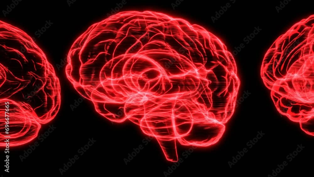 Red hologram human brains on black background.
Bright SciFi style.Seamless animation. Red hologram human brains on black background.
Bright SciFi style.Seamless animation.