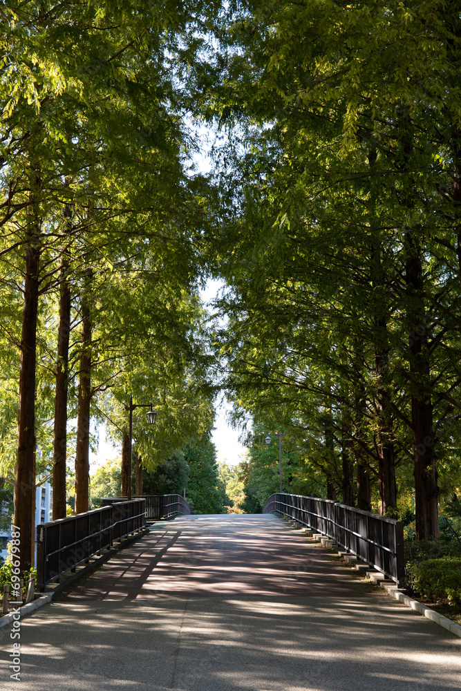 Wooded paths in spring parks. Wooded paths in spring parks.