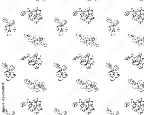 Lingonberry or cowberry, cranberry pattern outline. Vector illustration isolated. Can use for menu background, wrapping paper, textile. Hand drawn sketch illustration. 