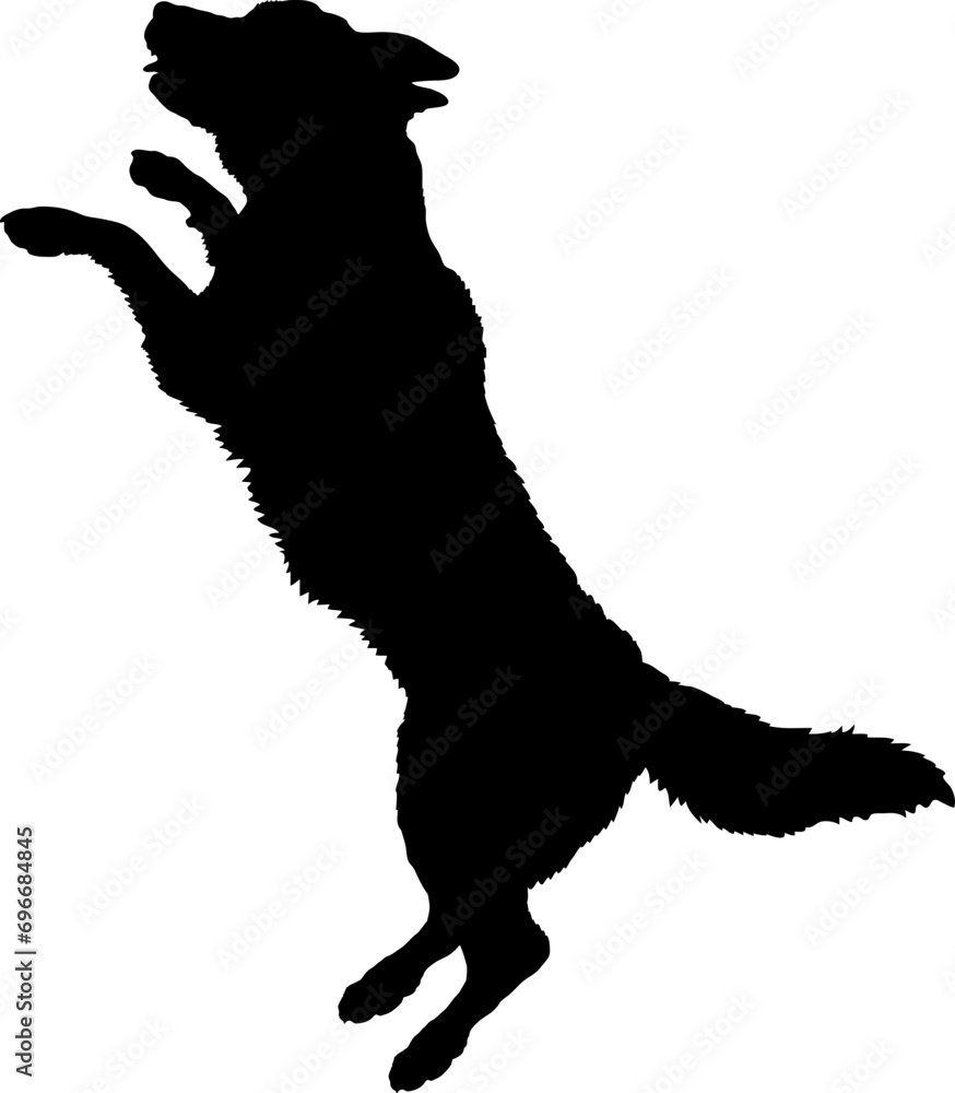 High quality Dog jumping silhouette Breeds Bundle Dogs on the move. Dogs in different poses.
The dog jumps, the dog runs. The dog is sitting. The dog is lying down. The dog is playing
