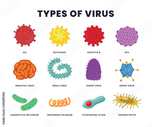 Set of different types of Virus collection, Biology science research for epidemic and pandemic crisis public health protection, pathogenic bacteria viruses or fungi can enter the body.