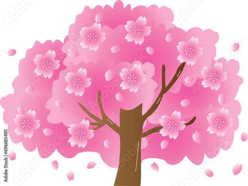 満開の桜
