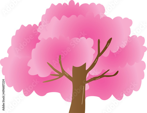 満開の桜
