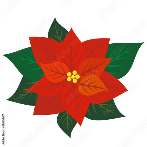 ポインセチア 冬 クリスマス 花 イラスト 飾り あしらい ベクター 素材