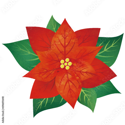 ポインセチア 冬 クリスマス 花 水彩画 飾り あしらい イラスト 素材