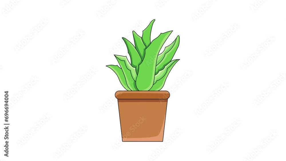 Animation forms an aloe vera plant icon Animation forms an aloe vera plant icon