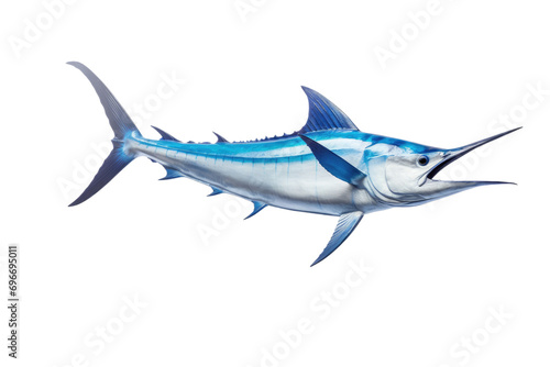 Swordfish Photography Isolated On Transparent Background © Cool Free Games