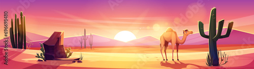 Arizona desert landscape with brown rock and sand dune hills, green cactus and grass, camel on sunset or sunrise. Cartoon drought sandy scenery with wild cacti and animal, pink evening or morning sky.