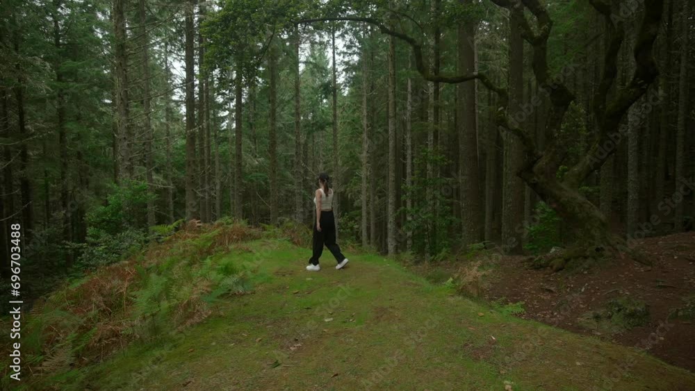 giirl model walking in the forest in Madeira Portugal. A mysterious forest with many tall tress. Nature in green at day light filmed in 4k giirl model walking in the forest in Madeira Portugal. A mysterious forest with many tall tress. Nature in green at day light filmed in 4k
