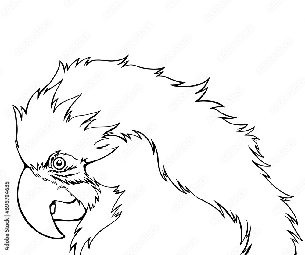 Fototapeta premium ルリコンゴウインコの線画イラスト